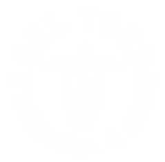 logo toro nuevo blanco_edited_edited.png