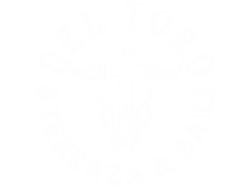 logo toro nuevo blanco_edited_edited_edi